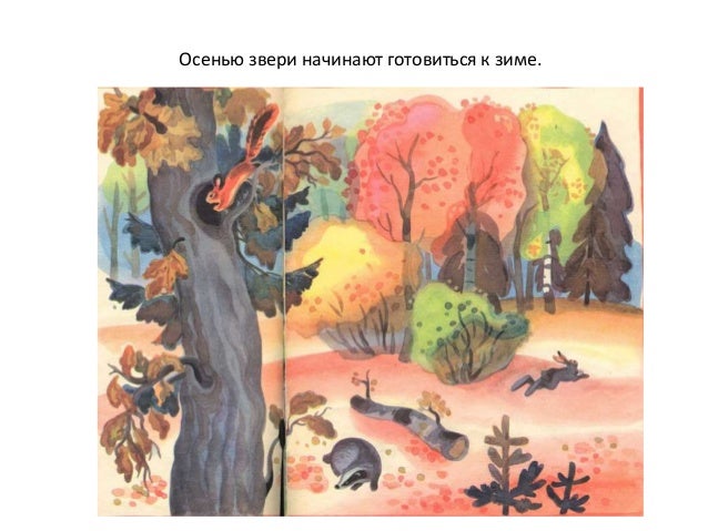 Картинки для детей с признаками осени Картинки для детей с признаками осени